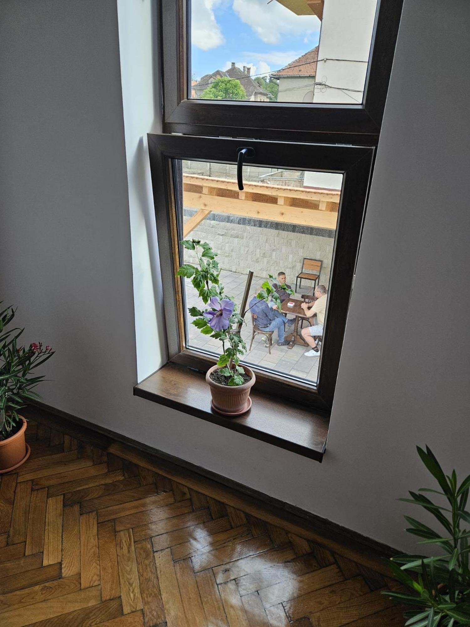 Casa Raduly - Apartament Demisol Sibiu Eksteriør billede